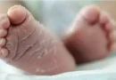 तालाब में तैरता मिला नव#जात का श#व…जन्म देते ही फेंक दिया.. जांच में जुटी पुलिस… Himachal 